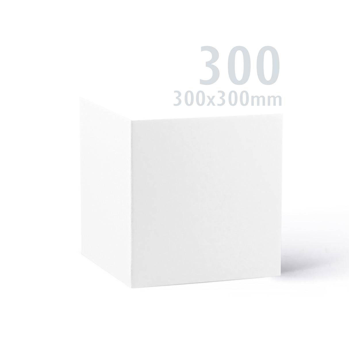 300x300 Valkoinen Premier kortti 250 g/m² pakkaus