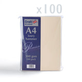 Kortti 300 g/m² 100 kpl pakkaus