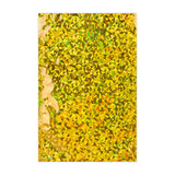 Holografiset foliopussit