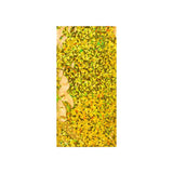 Holografiset foliopussit